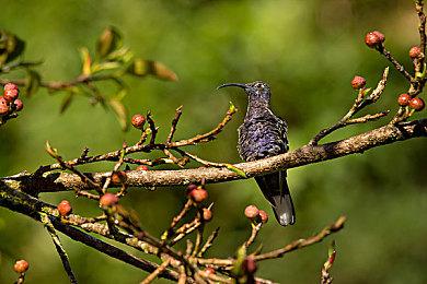 电影改编游戏《咒》Steam页面上线 发售日期待定